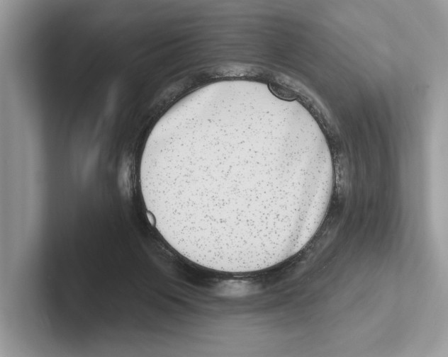 X0000100910119200807220958
