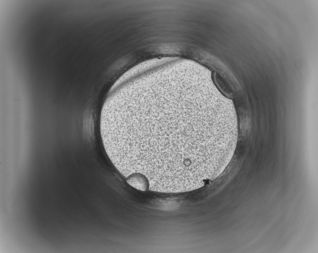 X0000100910120200807220958