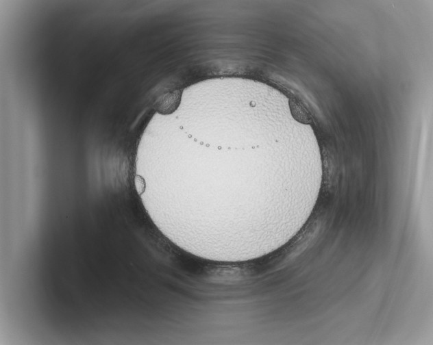 X0000100910123200807220958