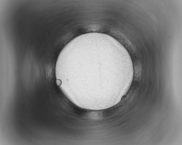 X0000100910126200807220958