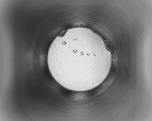 X0000100910127200807220958