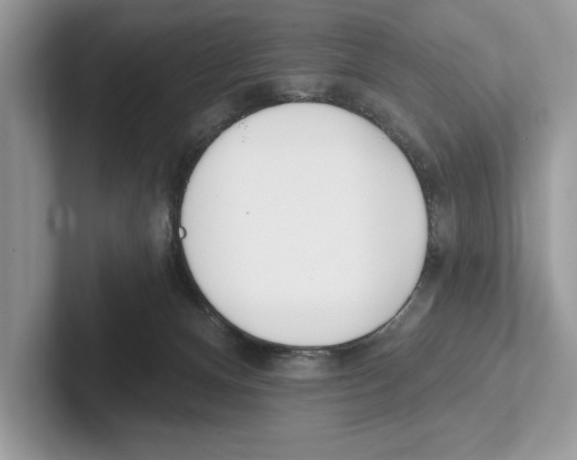 X0000100910128200807220958