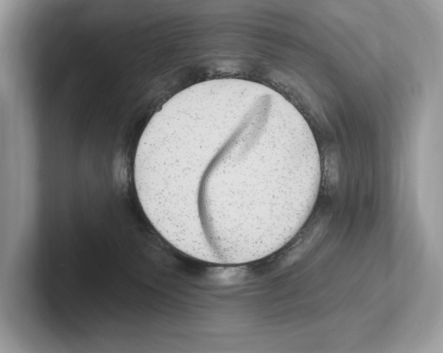 X0000100910135200807220958