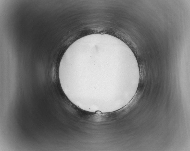 X0000100910136200807220958