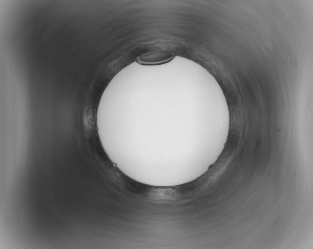 X0000100910137200807220958