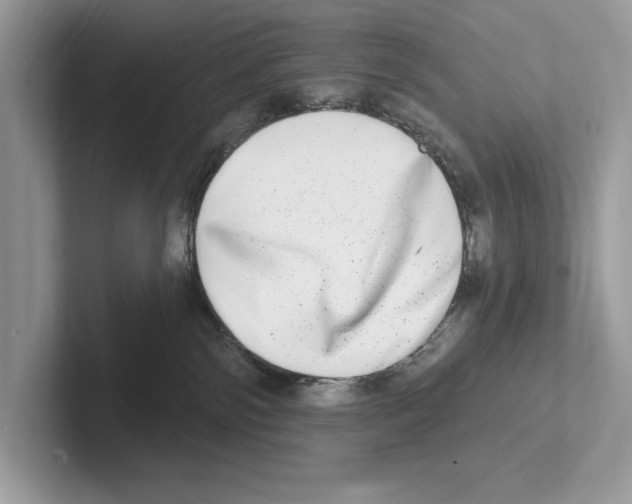 X0000100910138200807220958