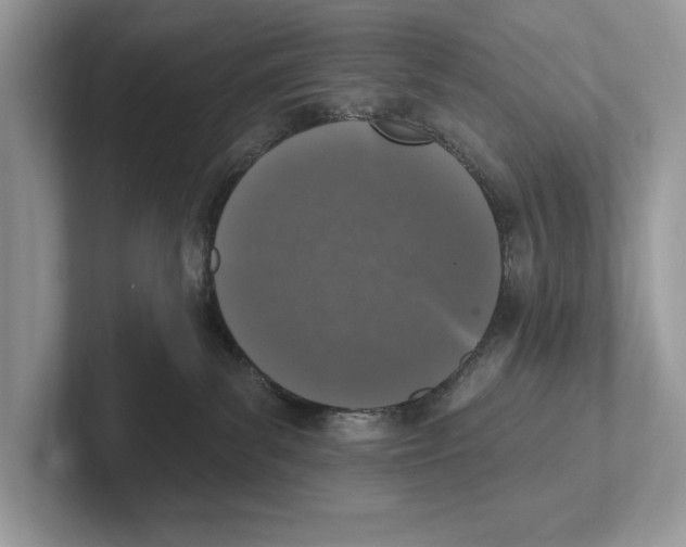 X0000100910139200807220958