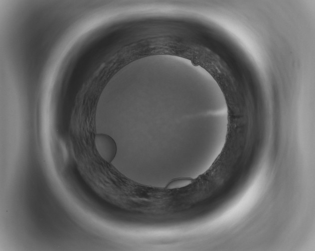 X0000100910143200807220958