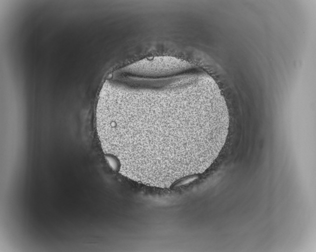 X0000100910144200807220958
