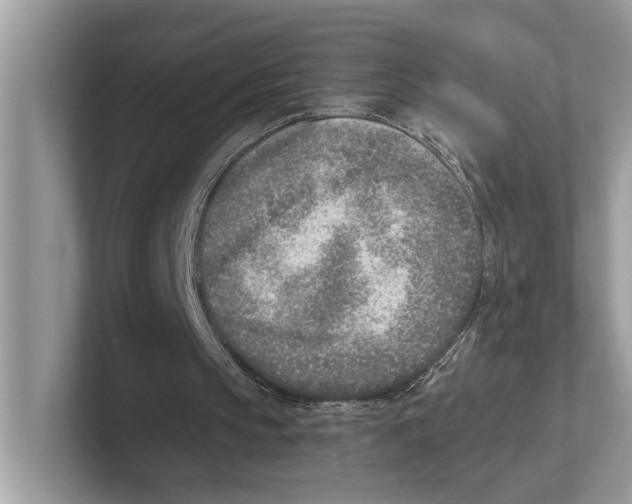X0000100910145200807220958