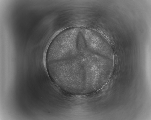 X0000100910147200807220958