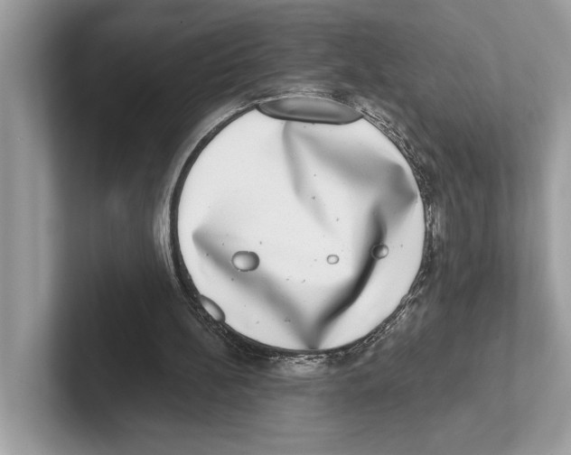 X0000100910148200807220958
