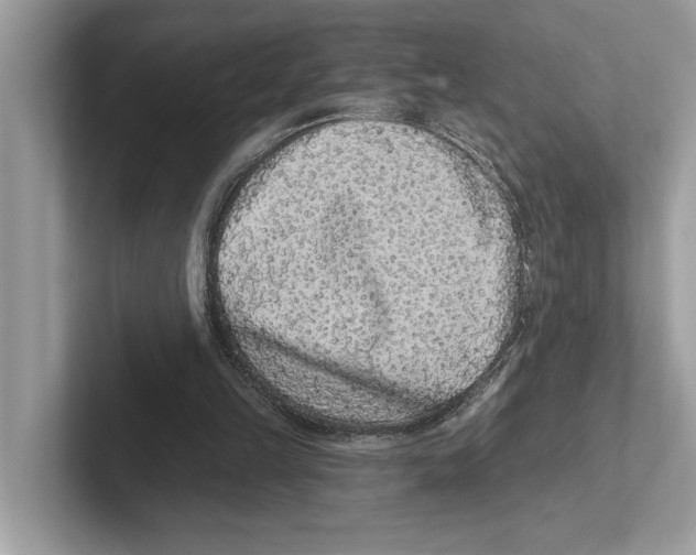 X0000100910149200807220958