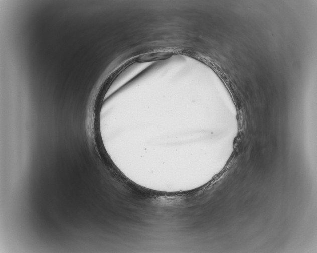 X0000100910150200807220958