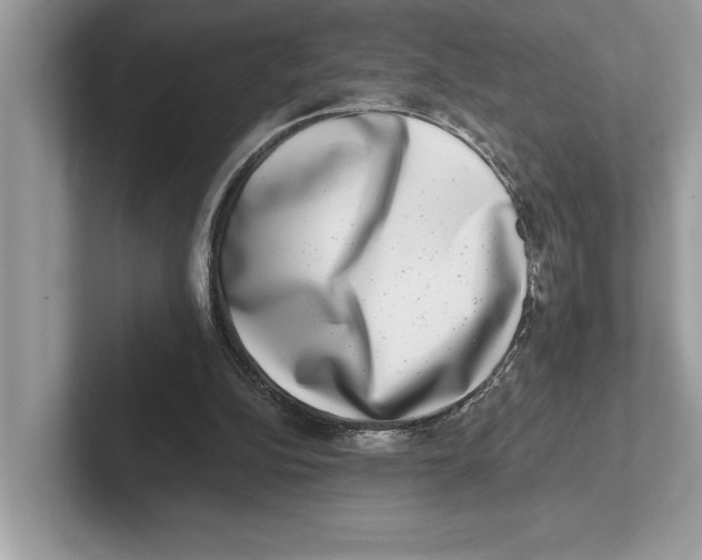 X0000100910152200807220958