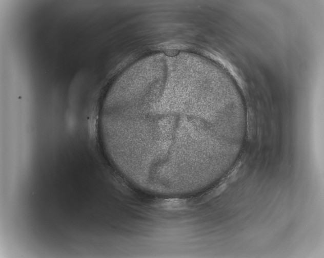 X0000100910153200807220958