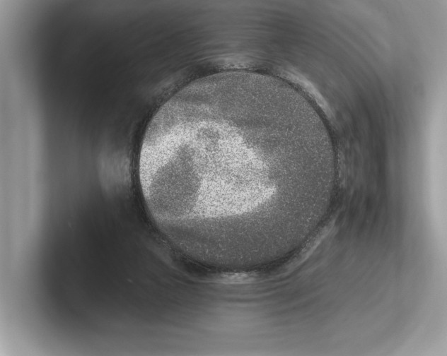 X0000100910161200807220958
