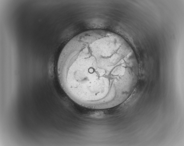 X0000100910162200807220958