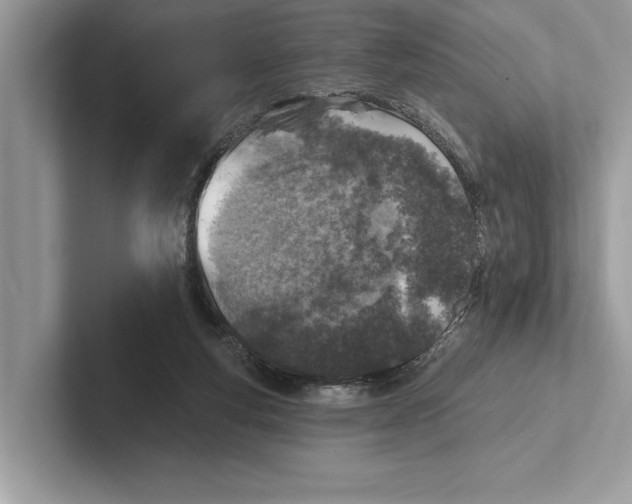 X0000100910163200807220958