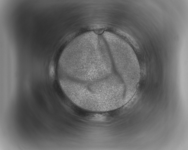 X0000100910166200807220958
