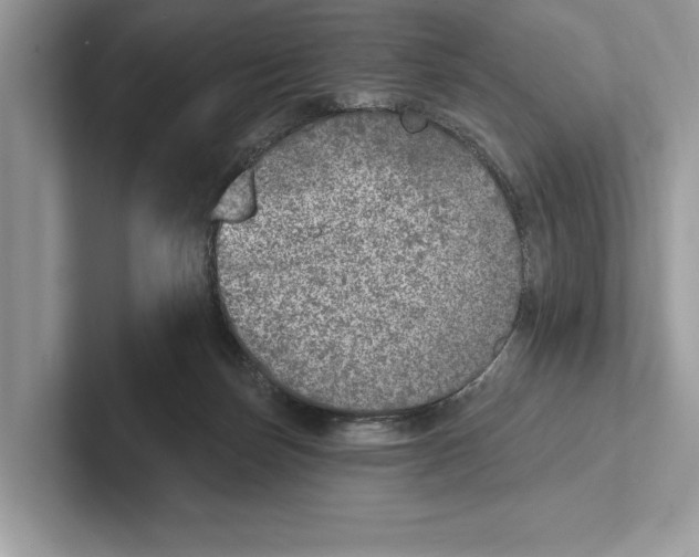 X0000100910171200807220958