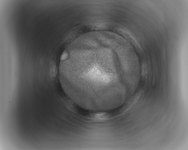 X0000100910173200807220958