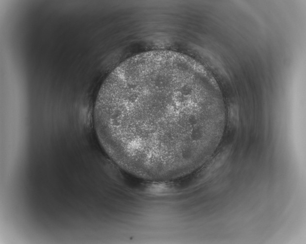 X0000100910177200807220958