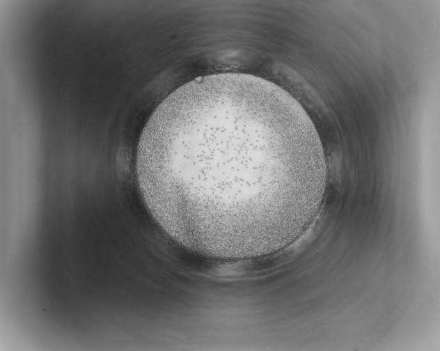 X0000100910178200807220958