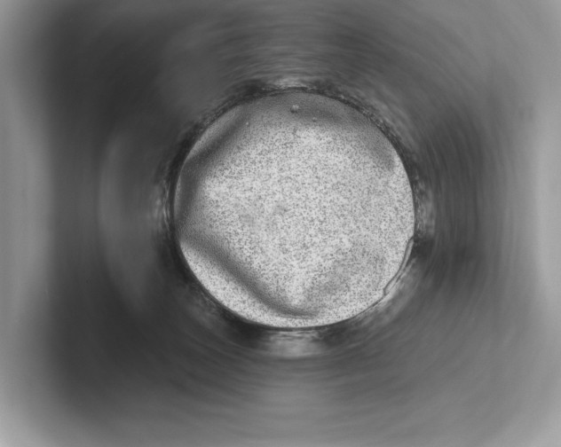 X0000100910179200807220958