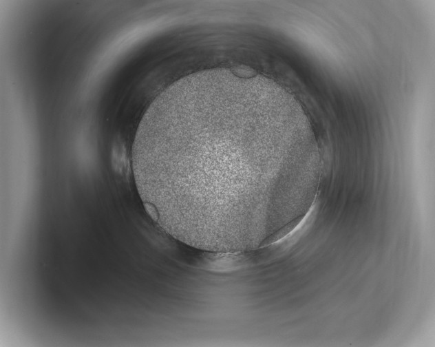 X0000100910191200807220958