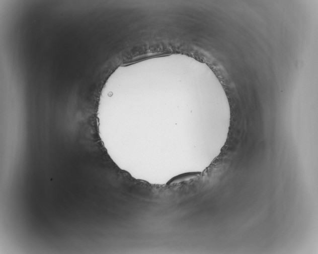 X0000100910192200807220958