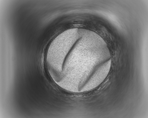 X0000100910194200807220957