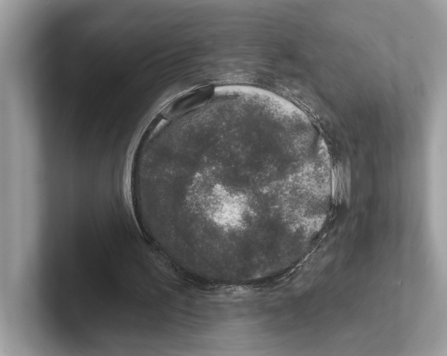 X0000100910195200807220957
