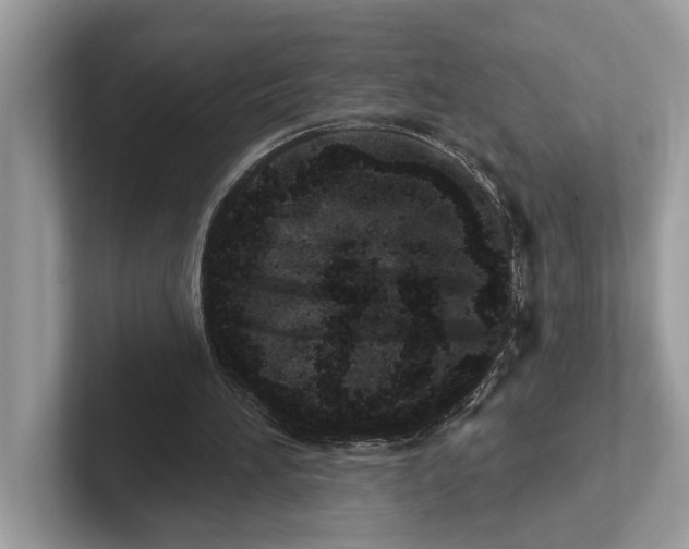 X0000100910196200807220957