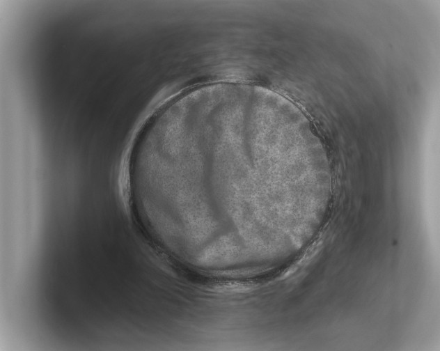 X0000100910198200807220957