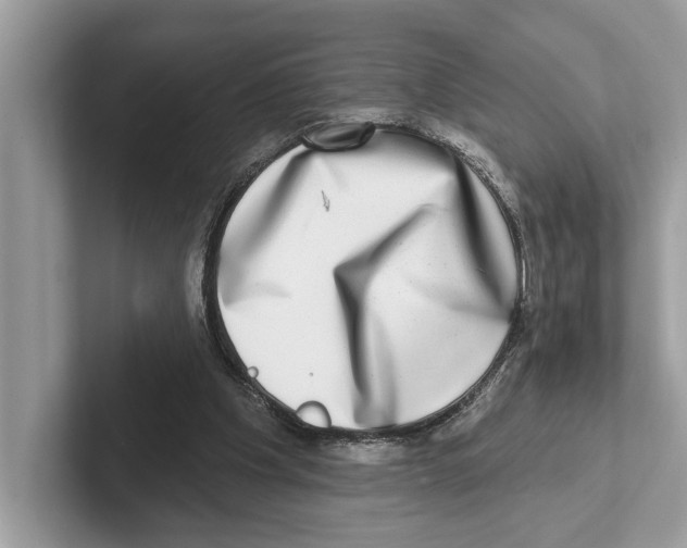X0000100910201200807220957