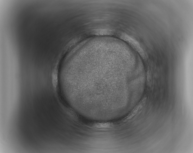 X0000100910202200807220957