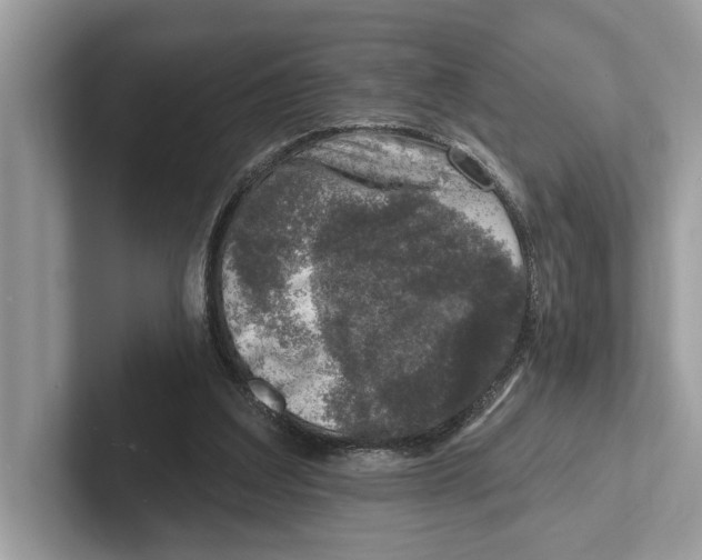 X0000100910203200807220957