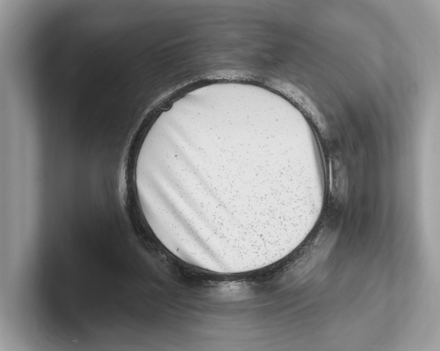 X0000100910204200807220957