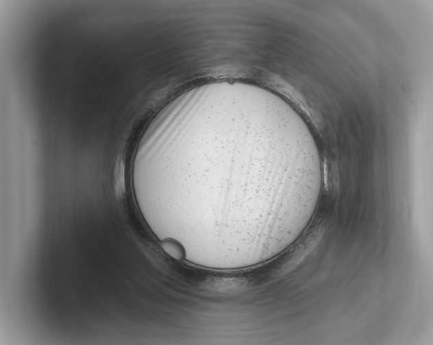 X0000100910205200807220957