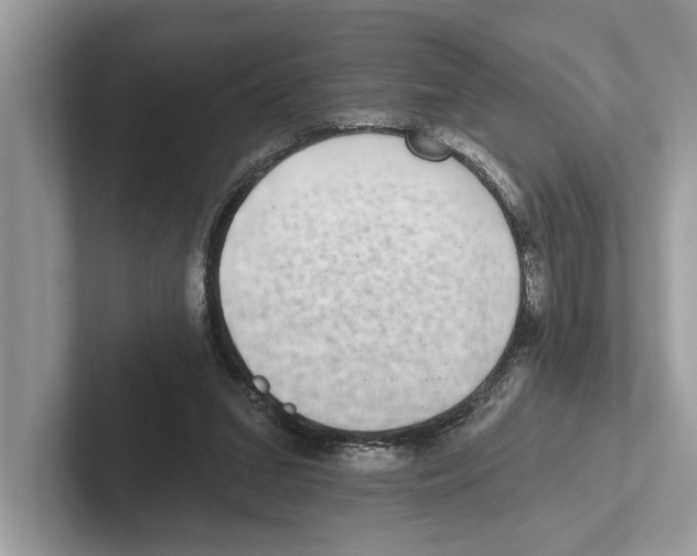 X0000100910207200807220957
