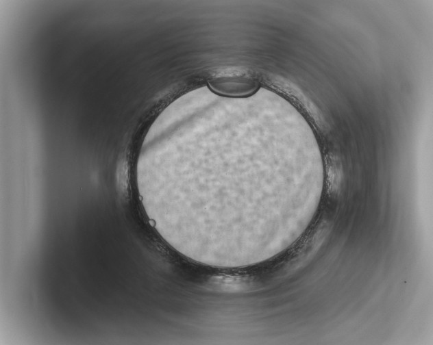 X0000100910211200807220957