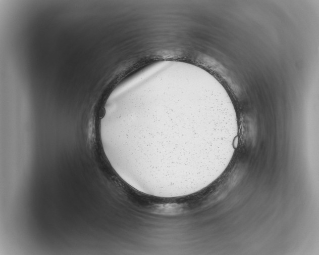 X0000100910212200807220957