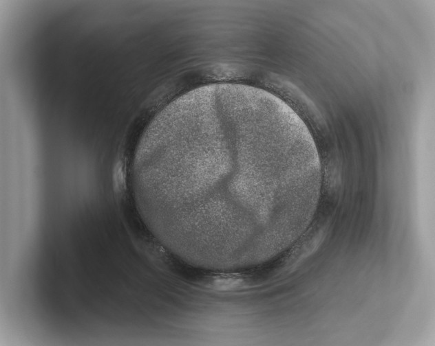 X0000100910214200807220957