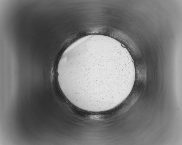 X0000100910216200807220957