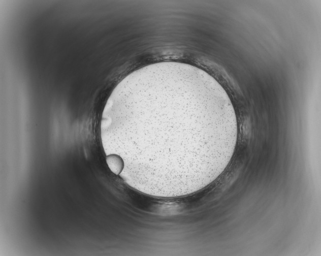 X0000100910218200807220957