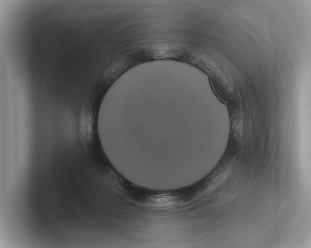 X0000100910219200807220957