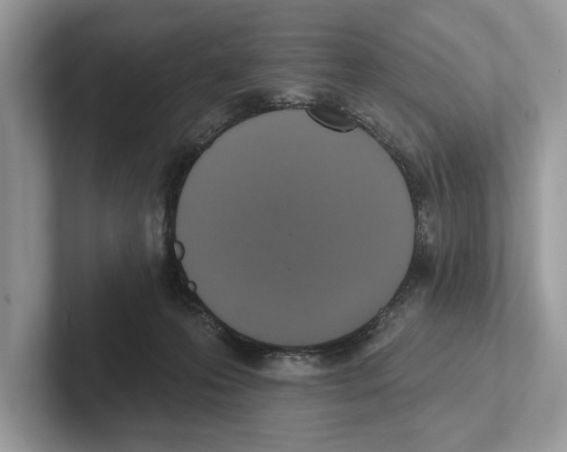 X0000100910223200807220957