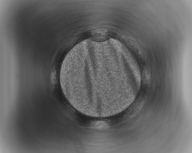 X0000100910224200807220957