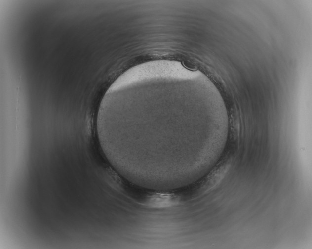 X0000100910227200807220957
